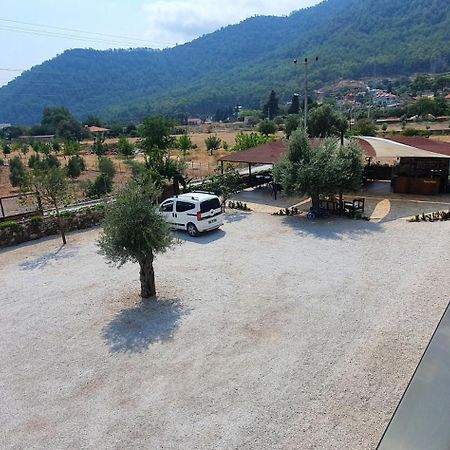 Olive Tree Apart Hotel Muğla Luaran gambar
